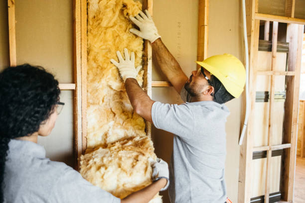 Best Insulation Contractor Near Me  in Shadeland, IN