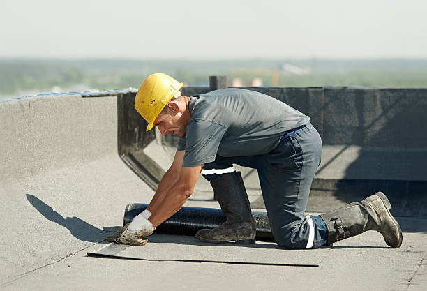 Best Insulation Replacement Services  in Shadeland, IN