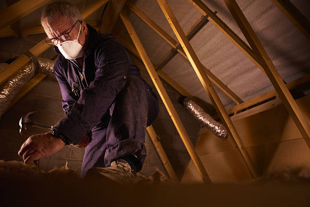 Best Blown-in Insulation  in Shadeland, IN